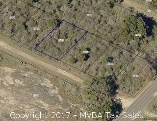 Account No. 000000027823, Lot 1135, Live Oak Section, Sherwood Shores, City of Granite Shoals, Burnet County, Texas
