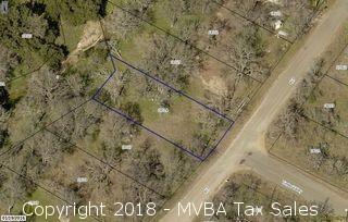 Account No. 000000018114 - Lot 356, Green Valley Section, Sherwood Shores II, City of Granite Shoals, Burnet County, Texas ::::: Suit No. 44986