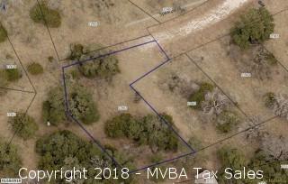 Account No. 000000021482 - Lot K4116, Plat K4.1, Horseshoe Bay South, City of Horseshoe Bay, Burnet County, Texas ::::: Suit No. 44,149
