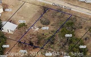 Account No. 40245 - Lot 59, Sherwood Heights Section, Sherwood Shores, City of Granite Shoals, Burnet County, Texas ::::: Suit No. 45604