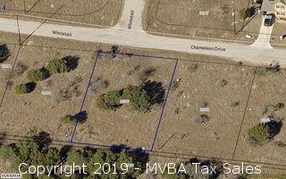 Account No. 21000 - Lot K1031, Plat K1.1, Horseshoe Bay South, City of Horseshoe Bay, Burnet County, Texas ::::: Suit No. 45930