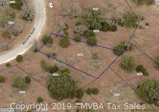 Account No. 22481 - Lot K10156, Plat K10.1, Horseshoe Bay South, Burnet County, Texas ::::: Suit No. 45872