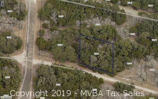 Account No. 22271 - Lot K8132, PLAT K8.1, Horseshoe Bay South, City of Horseshoe Bay, Burnet County, Texas ::::: Suit No. 46081
