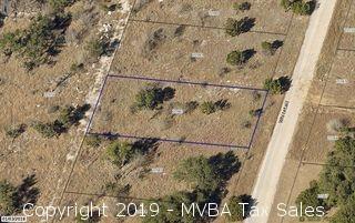 Account No. 20982 - Lot K1013, PLAT K1.1, Horseshoe Bay South, City of Horseshoe Bay, Burnet County, Texas ::::: Suit No. 46086 ::::: Approximate Property Address: White Tail, Horseshoe Bay, Texas