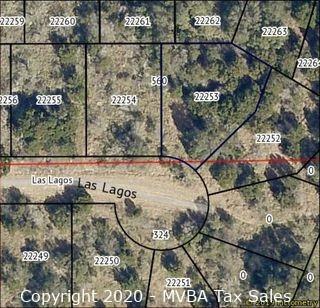 Account No. 22253 - Lot K8113, Plat K8.1, Horseshoe Bay South, City of Horseshoe Bay, Burnet County, Texas ::::: Suit No. 45802