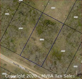 Account No. 27226 - Lot 423, Live Oak Section, Sherwood Shores, City of Granite Shoals, Burnet County, Texas ::::: Suit No. 46079 ::::: Approximate Property Address: Mesquite