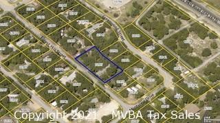 Account No. 11957 & Account No. 375343 - Lot 16, 17 and Southeast 1/2 of 18, Canyon Lake Mobile Home Estates, Comal County, Texas and a Manufactured Home, Label #TEX0390289, Located on Lot 16, 17 and SE 1/2 of 18, Canyon Lake Mobile Home Estates ::::: Suit No. T-9967B ::::: Approximate Property Address: 511 Forest Hill St.